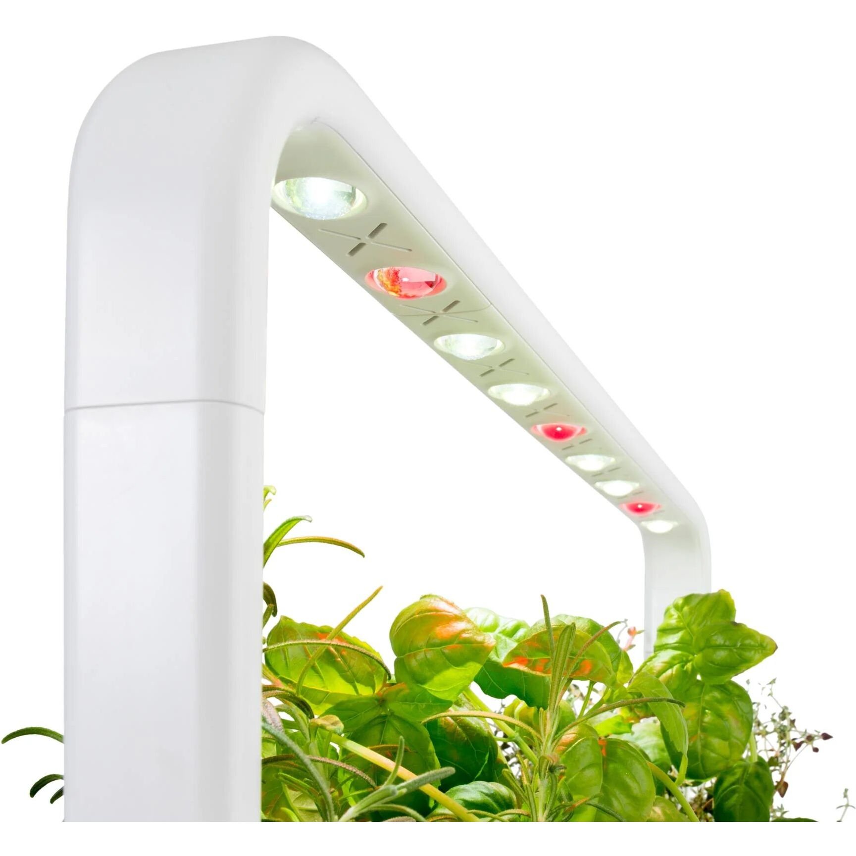Стартовий набір для вирощування еко-продуктів Click & Grow Smart Garden 9, білий (8868 SG9) - фото 3