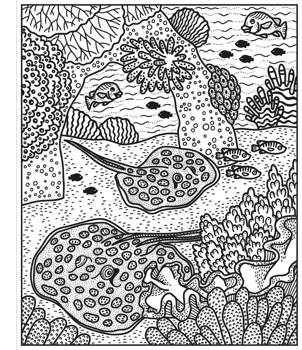 Раскраска Coral Reef Magic Painting Book - Abigail Wheatley, англ. язык (9781474994743) - фото 4