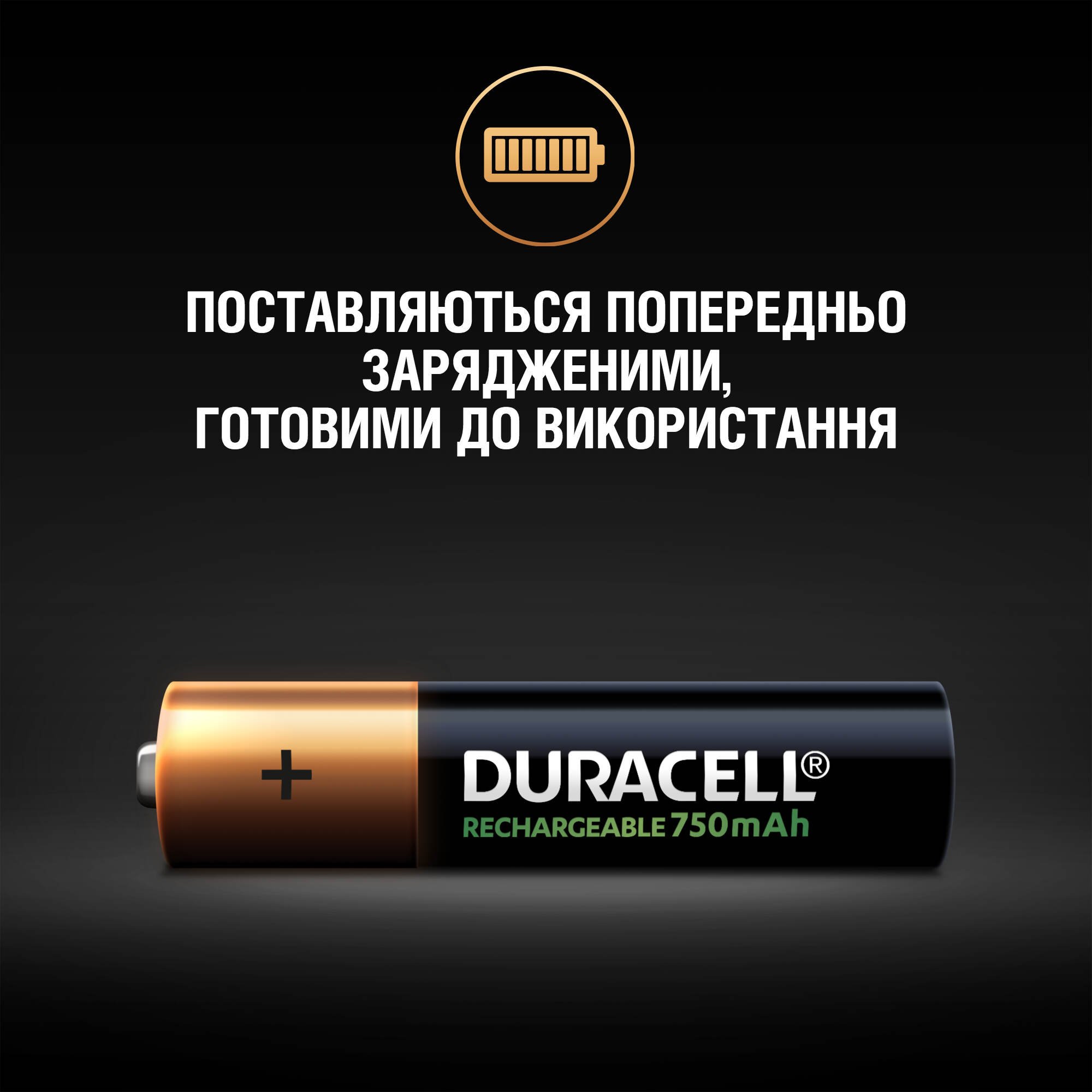 Акумулятор Duracell Rechargeable AAA 750 mAh HR03/DC2400, 2 шт. (736721) - фото 5