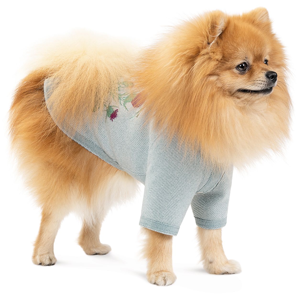 Кардиган для собак Pet Fashion Denis XS2 м’ятний - фото 2