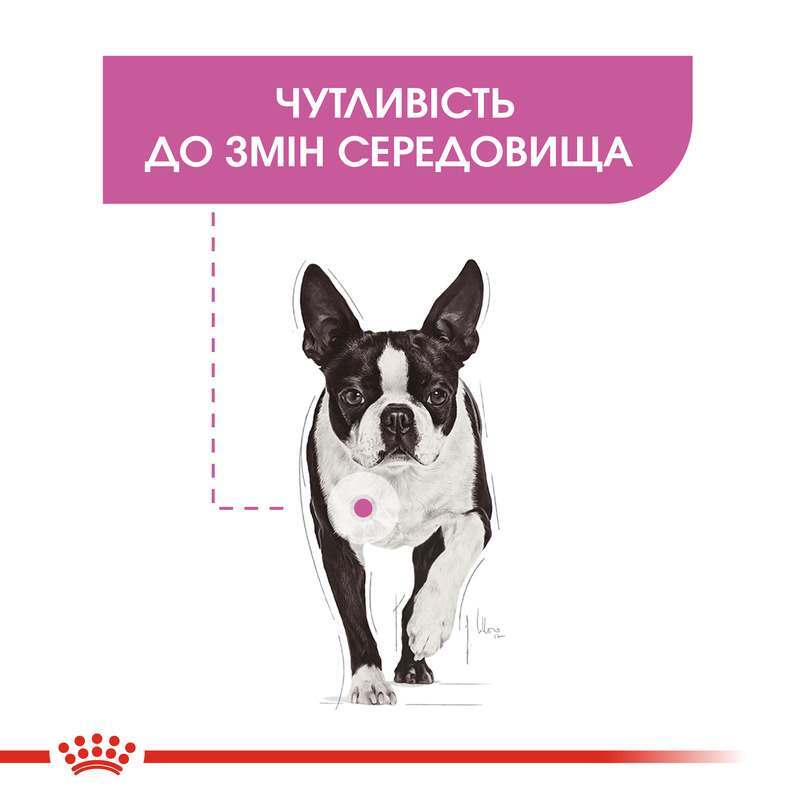 Сухий корм для собак малих порід, чутливих до змін середовища Royal Canin Mini Relax Care, 3 кг (1224030) - фото 3