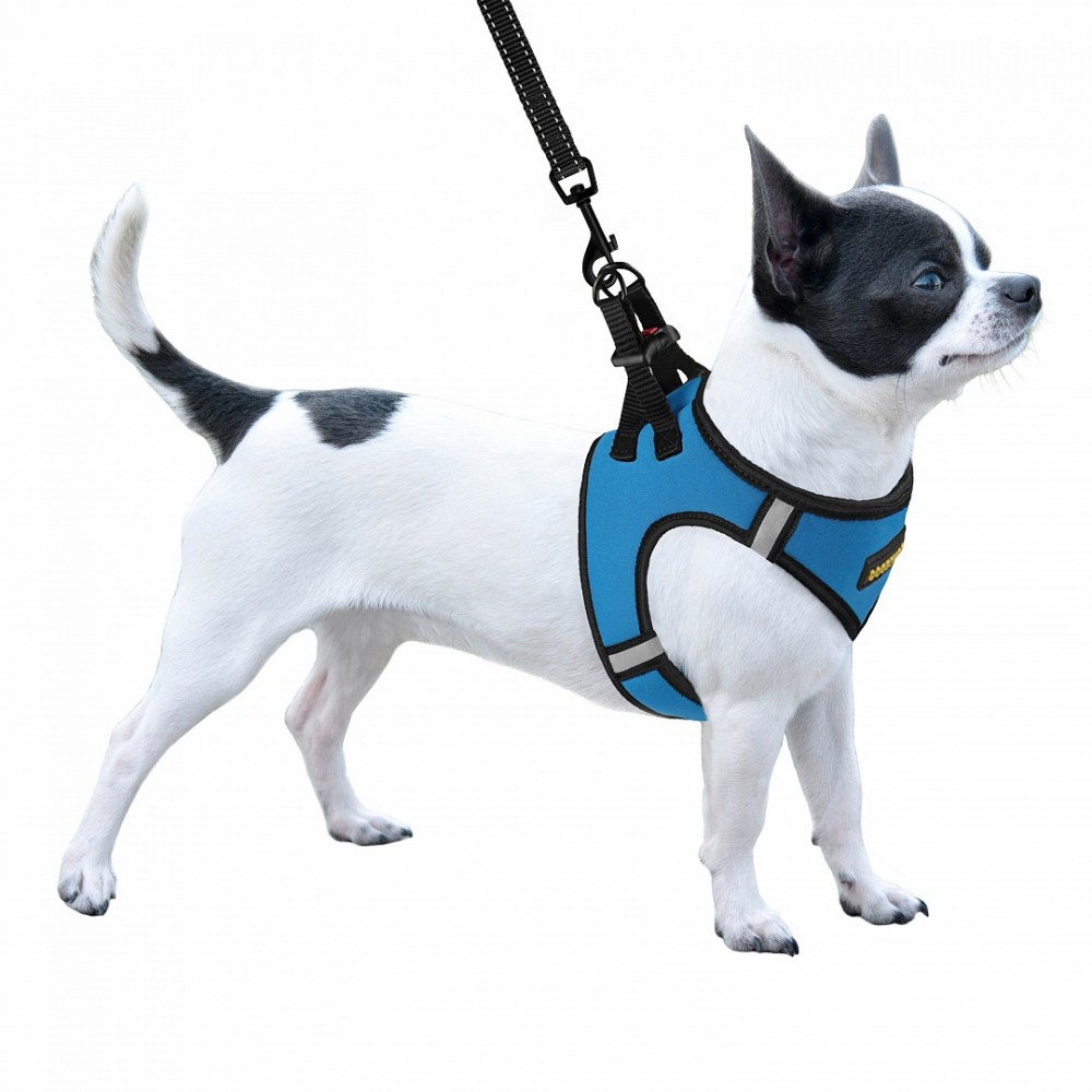 Шлея для собак Bronzedog Sport Vest XXXS 13х11х3 см блакитна - фото 3