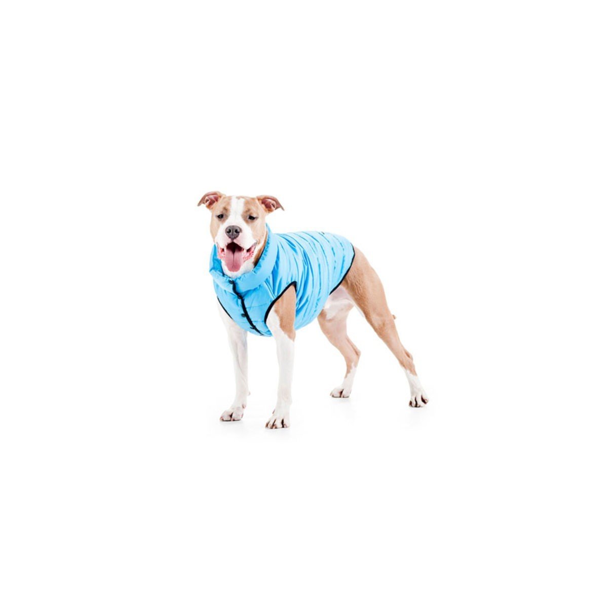 Курточка для собак AiryVest ONE, L55, синий - фото 3