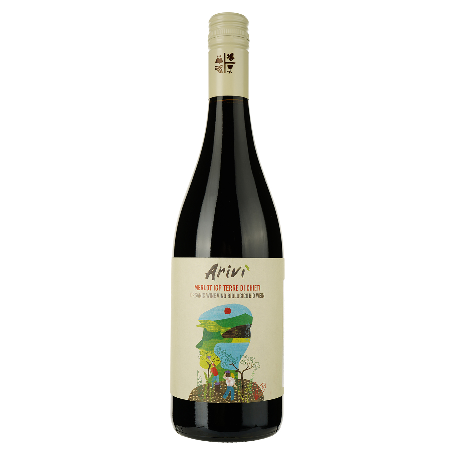 Вино Cantina Orsogna Arivi Merlot IGP Terre di Chieti червоне сухе 0.75 л - фото 1