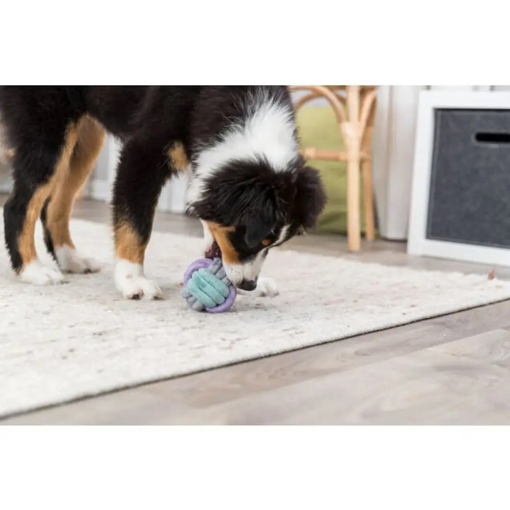 Игрушка для собак Trixie Мяч-канат, d9 см (32814) - фото 4