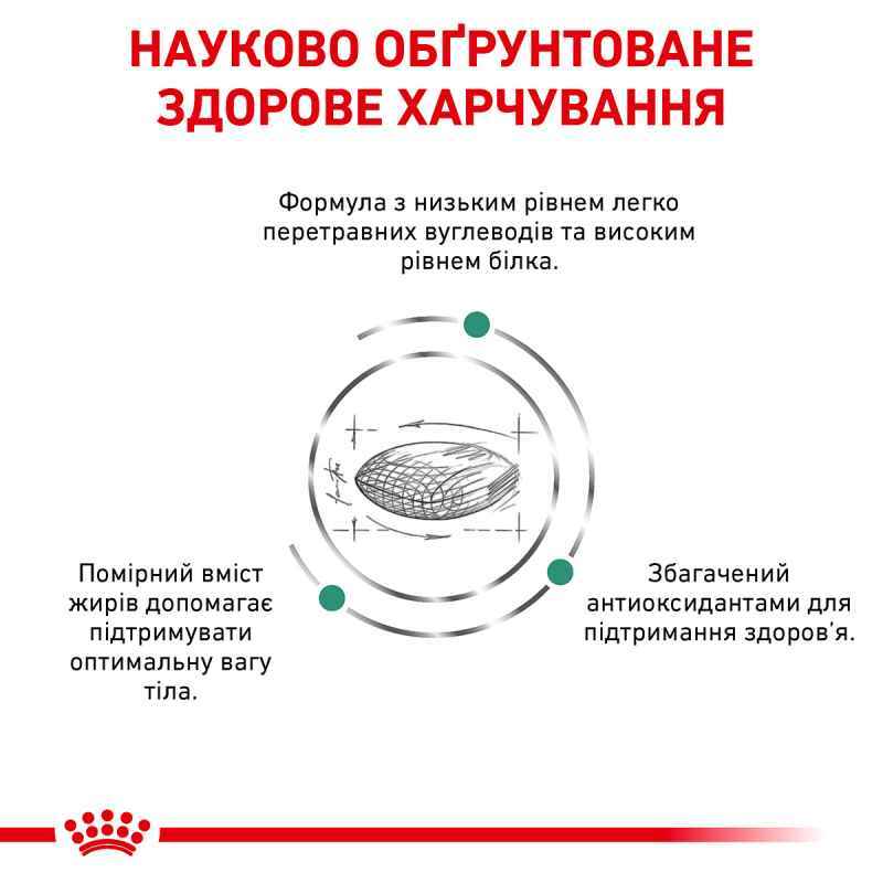 Сухой корм для взрослых кошек при сахарном диабете Royal Canin Diabetic, 1,5 кг (39060151) - фото 5