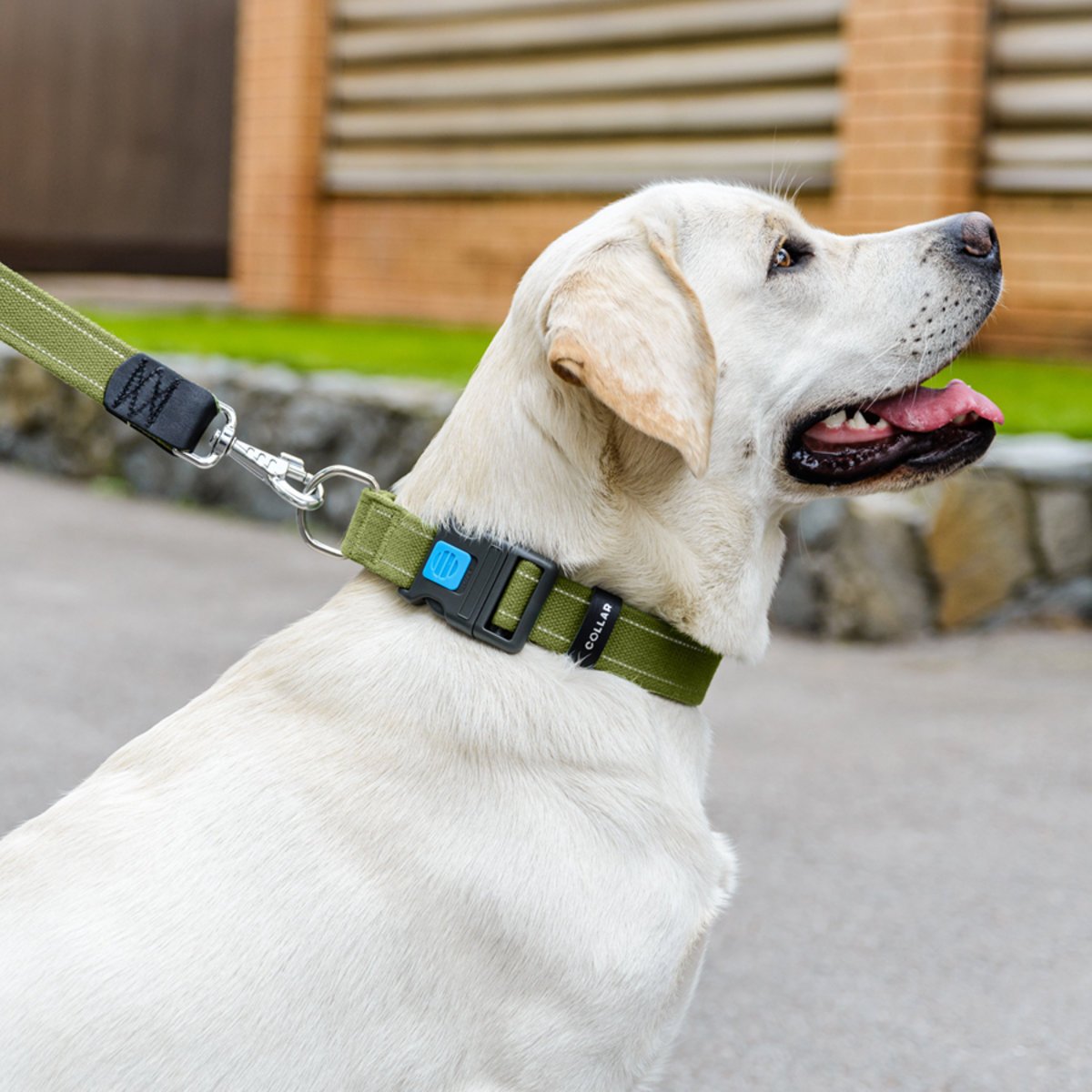 Ошейник для собак Collar Брезент пластиковый фастекс, L 35 мм (46-69) см - фото 3