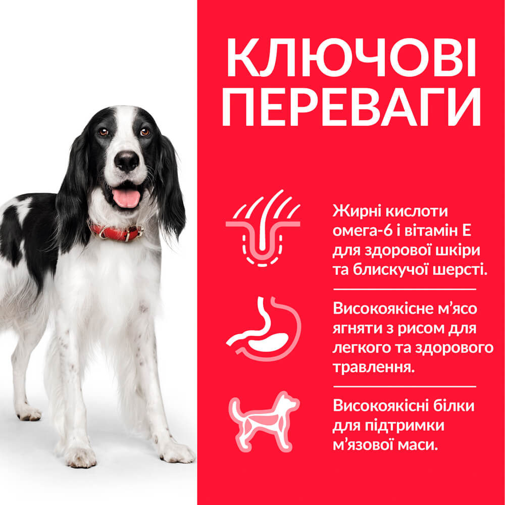 Сухий корм для дорослих собак середніх порід Hill’s Science Plan Adult Medium Breed, з ягням і рисом, 2,5 кг (604276) - фото 4