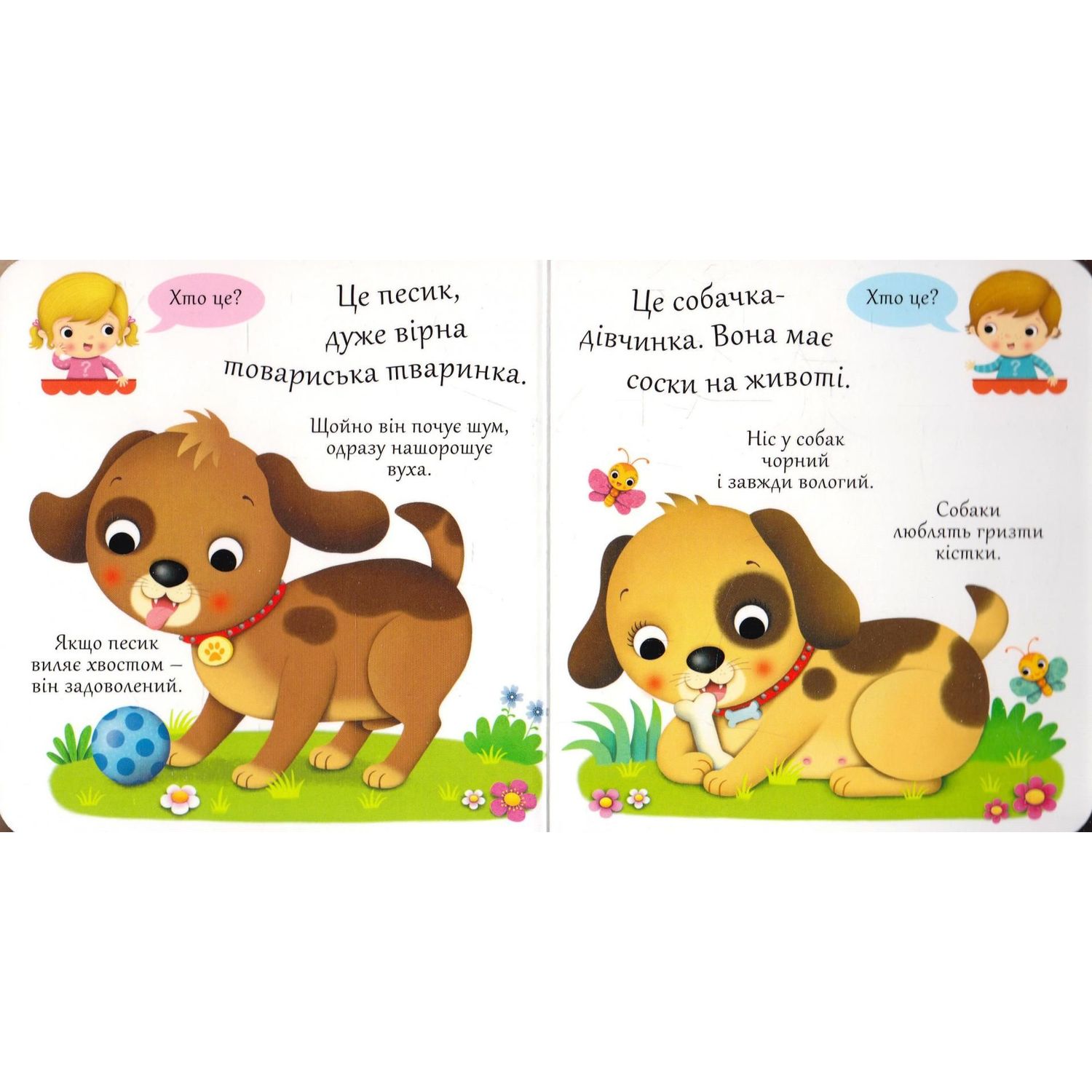 Книжка-картонка Богдан Хто це? Собаки - Бомон Емілія та Беліно Наталя (978-966-10-5138-5) - фото 3