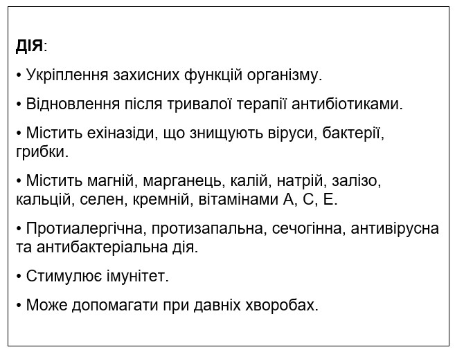 Натуральна добавка для собак Home Food, Ехінацея, 500 мл - фото 2