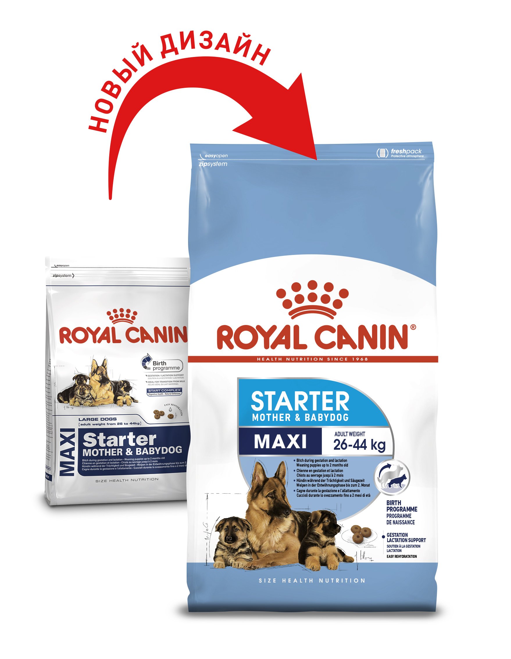 Сухой корм Royal Canin Maxi Starter Mother & Babydog для щенков крупных пород, с мясом птицы и рисом, 4 кг - фото 2