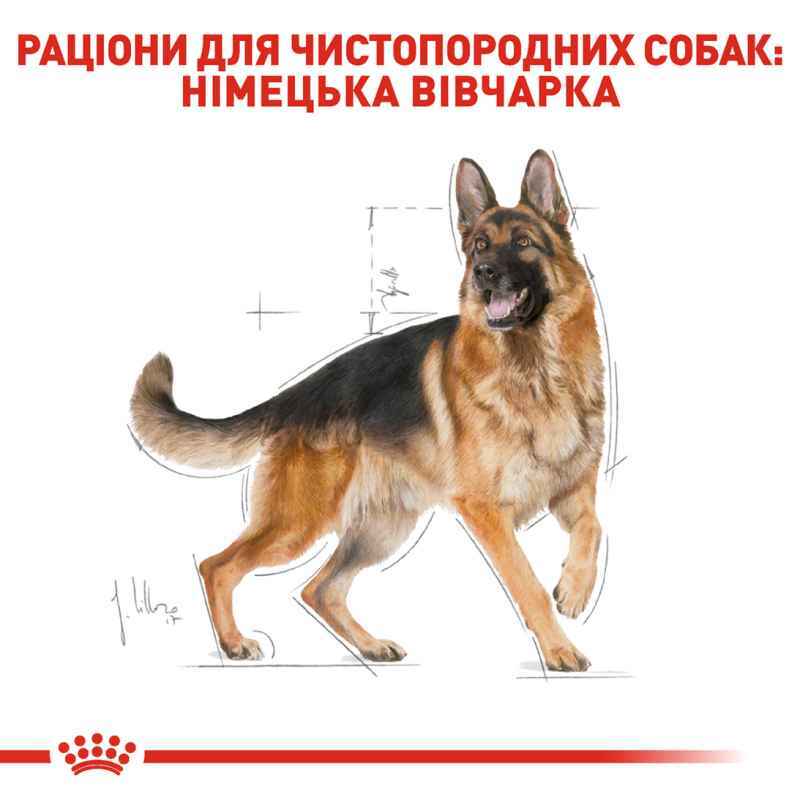 Сухий корм для дорослих собак породи Німецька вівчарка Royal Canin German Shepherd Adult, 3 кг (2518030) - фото 3