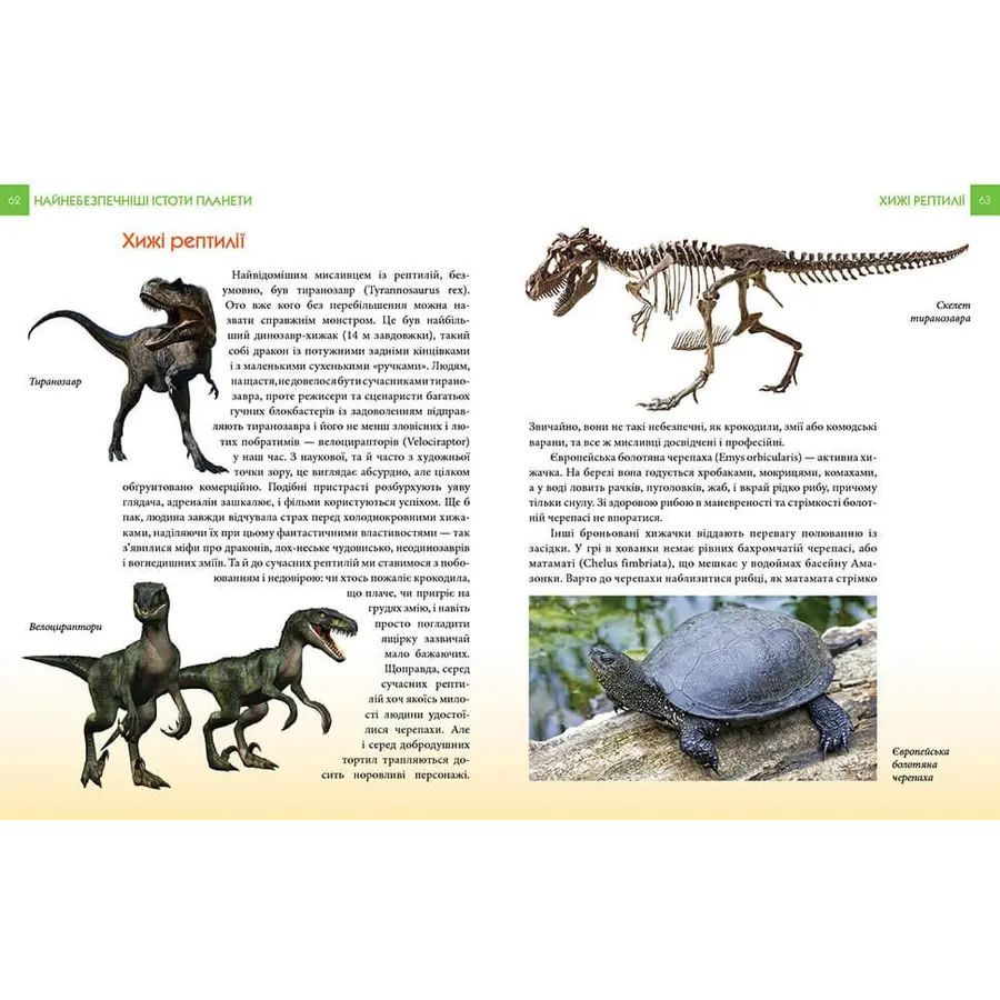 Енциклопедія для допитливих Талант Найнебезпечніші істоти планети - Гапченко А. В. (9789669355850) - фото 2