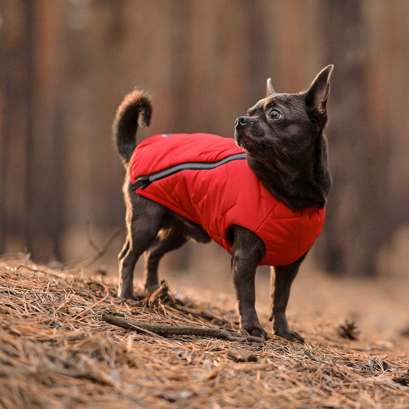 Жилет для собак Pet Fashion E.Vest XS червоний - фото 4