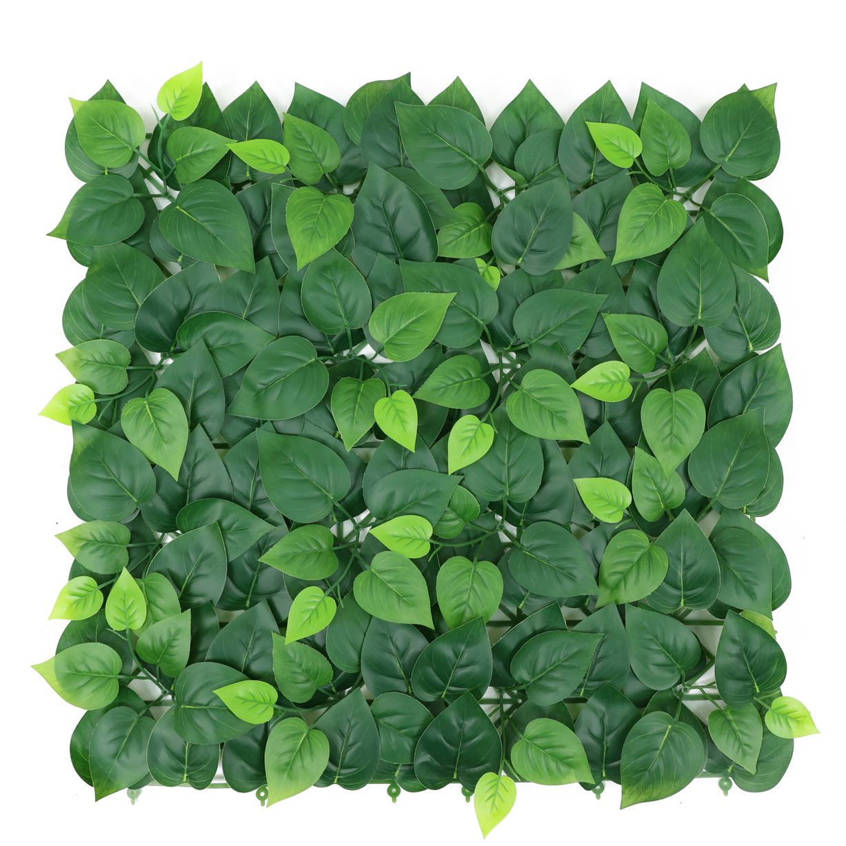 Декоративне зелене покриття Engard Молоде листя 50х50 см (GCK-26) - фото 1