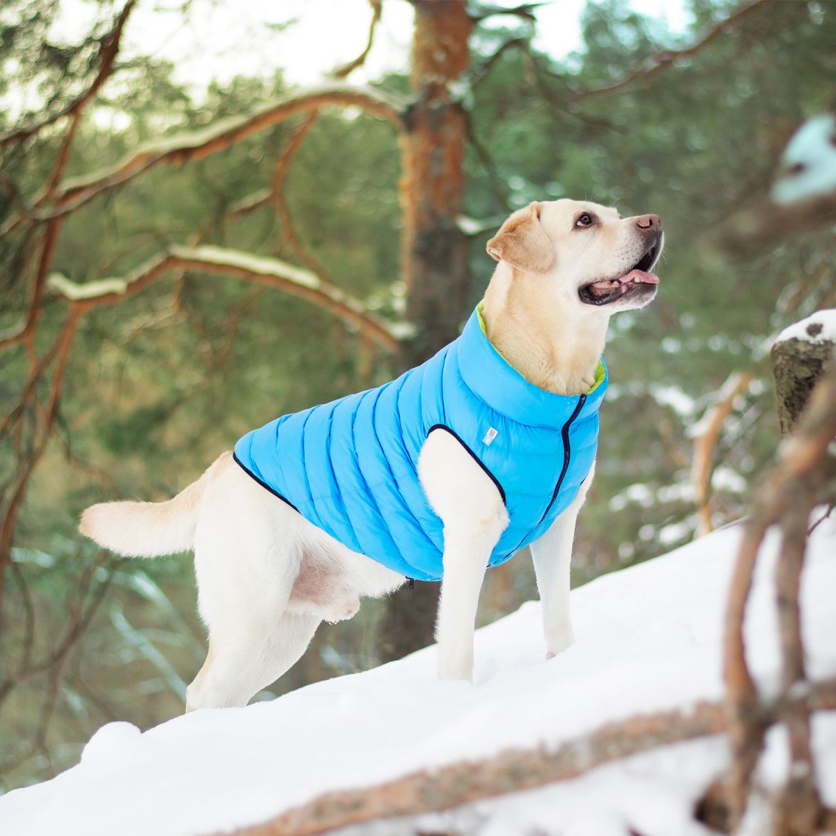 Курточка для собак AiryVest двухсторонняя, M47, салатово-голубая - фото 8
