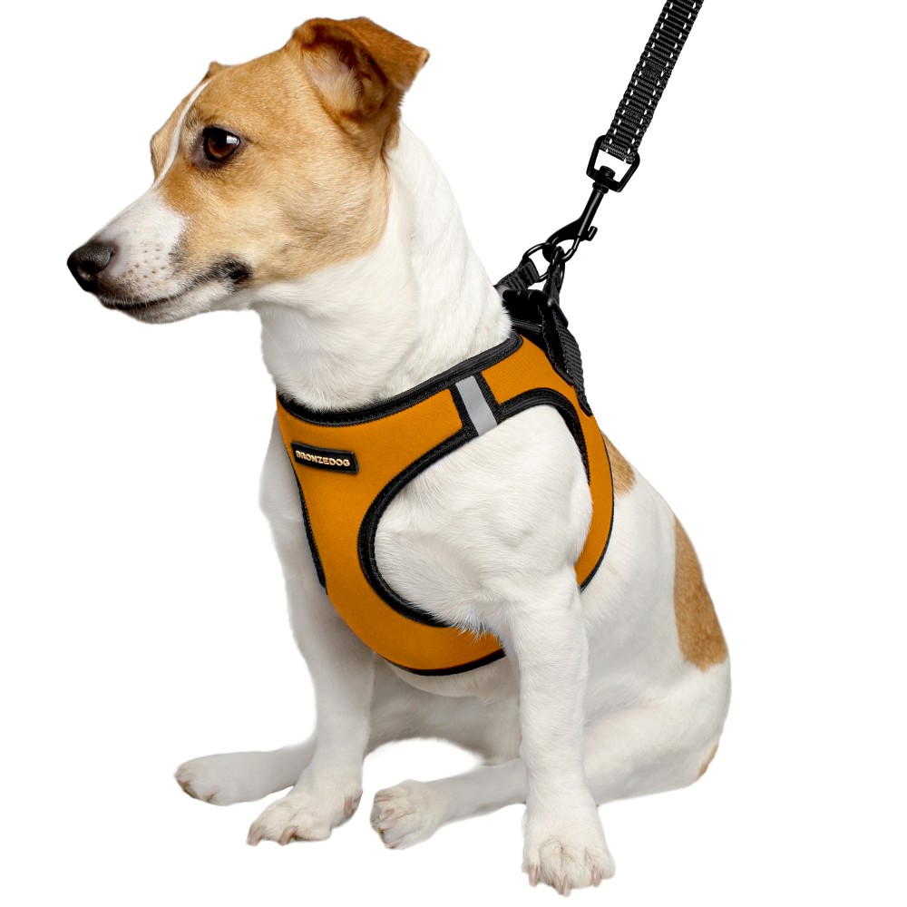 Шлея для собак Bronzedog Sport Vest S 20х16х3 см оранжевая - фото 3