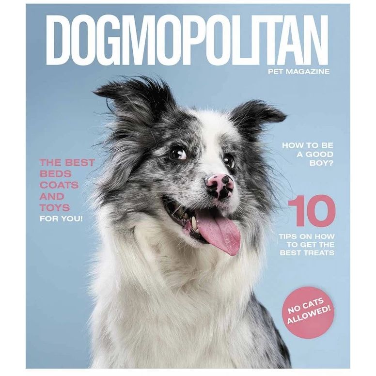 Тетрадь общая Pets magazine Школярик 036-3194K-5 в клетку 36 листов - фото 1