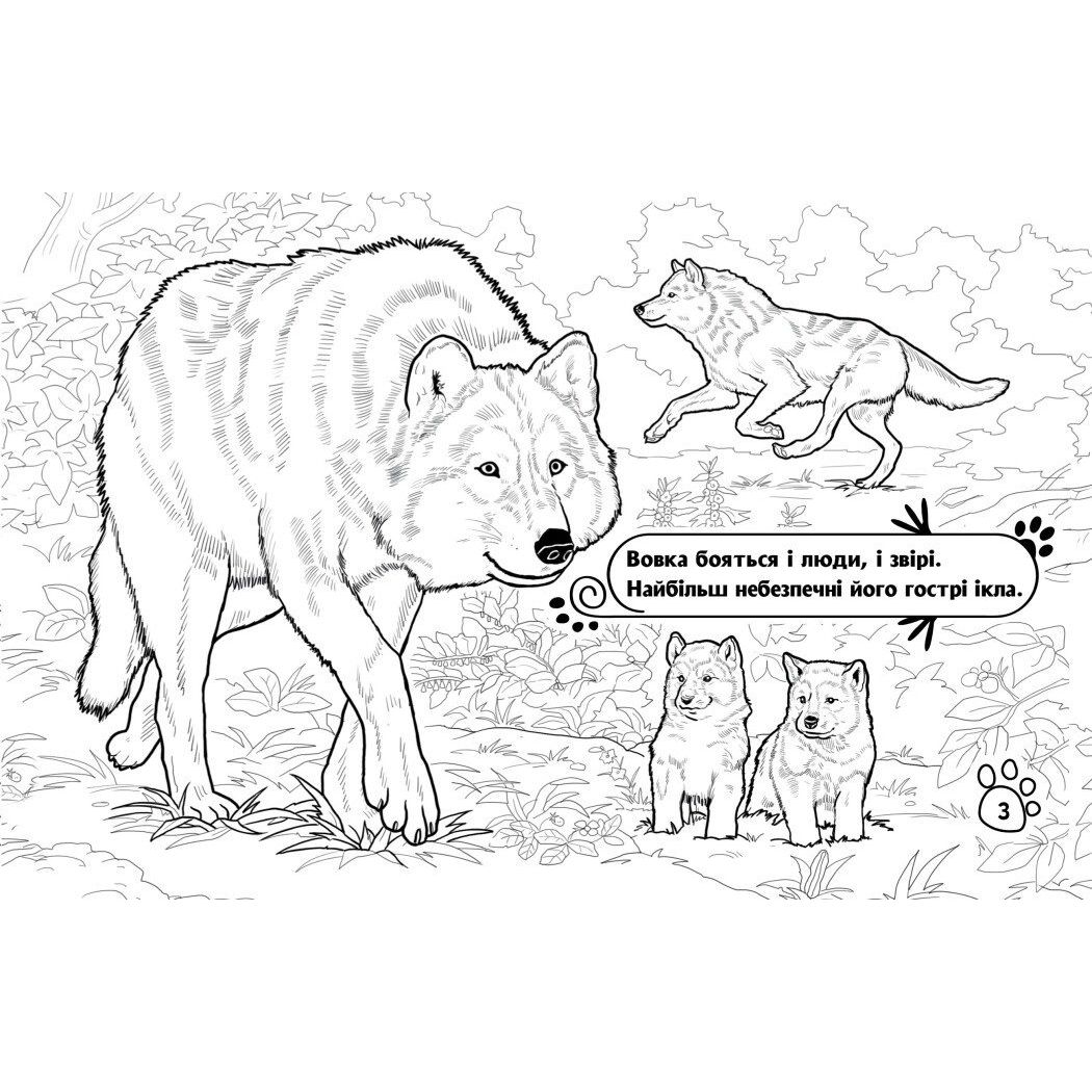 Розмальовка Видавництво Ранок Тварини в лісі (А583012У) - фото 2