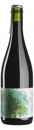 Вино Jauma Birdsey 2017 червоне, сухе, 13%, 0,75 л - фото 1