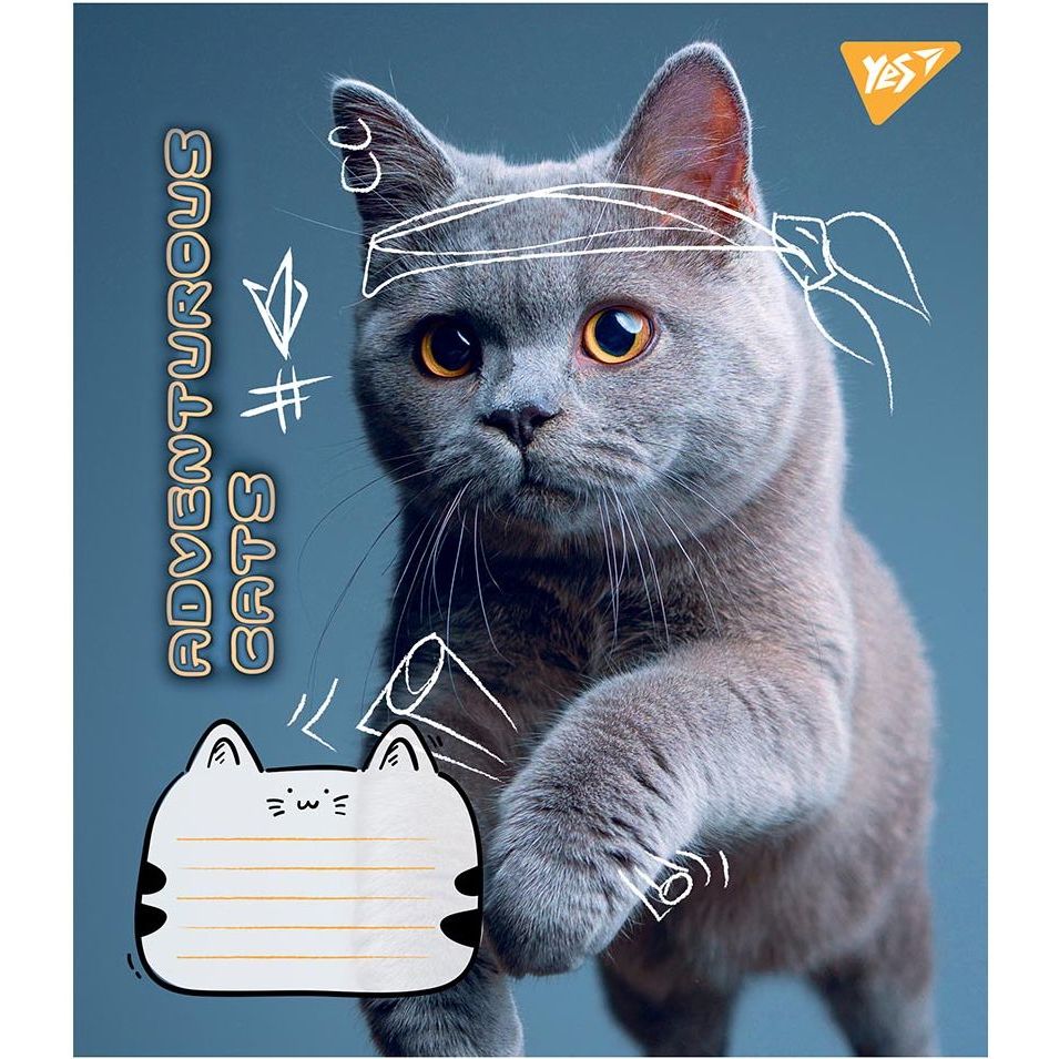 Набір зошитів Yes Adventurous Cats, А5, в клітинку, 24 аркуша, 20 шт. (766630) - фото 3