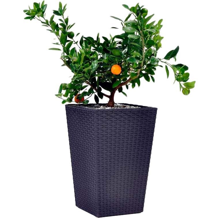 Горщик для квітів Keter Medium Rattan Planter сірий 55.4 л(17192301) - фото 1