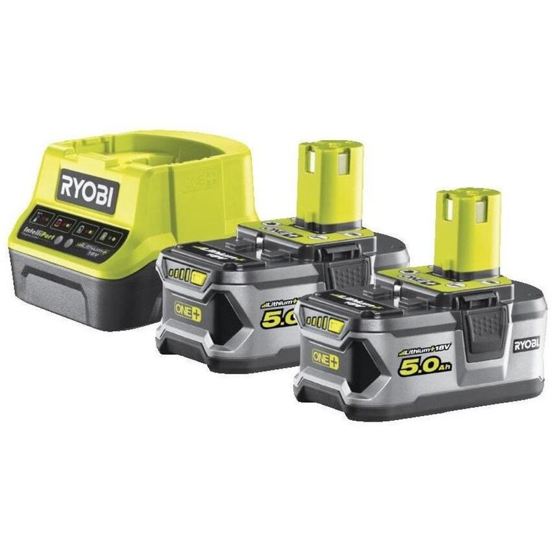 Набор аккумуляторов и зарядного устройства Ryobi One+ RC18120-250 18В 2х5А (5133003364) - фото 1