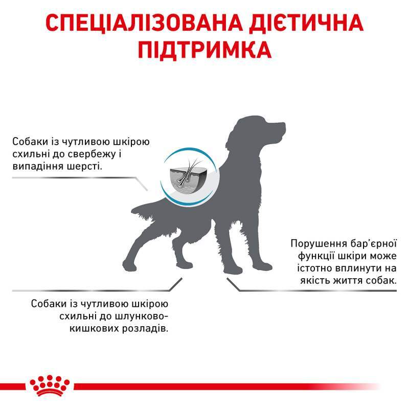 Сухий дієтичний корм для собак Royal Canin Skin Care Adult Dog при дерматозах та випадінні шерсті, 2 кг (40130201) - фото 4