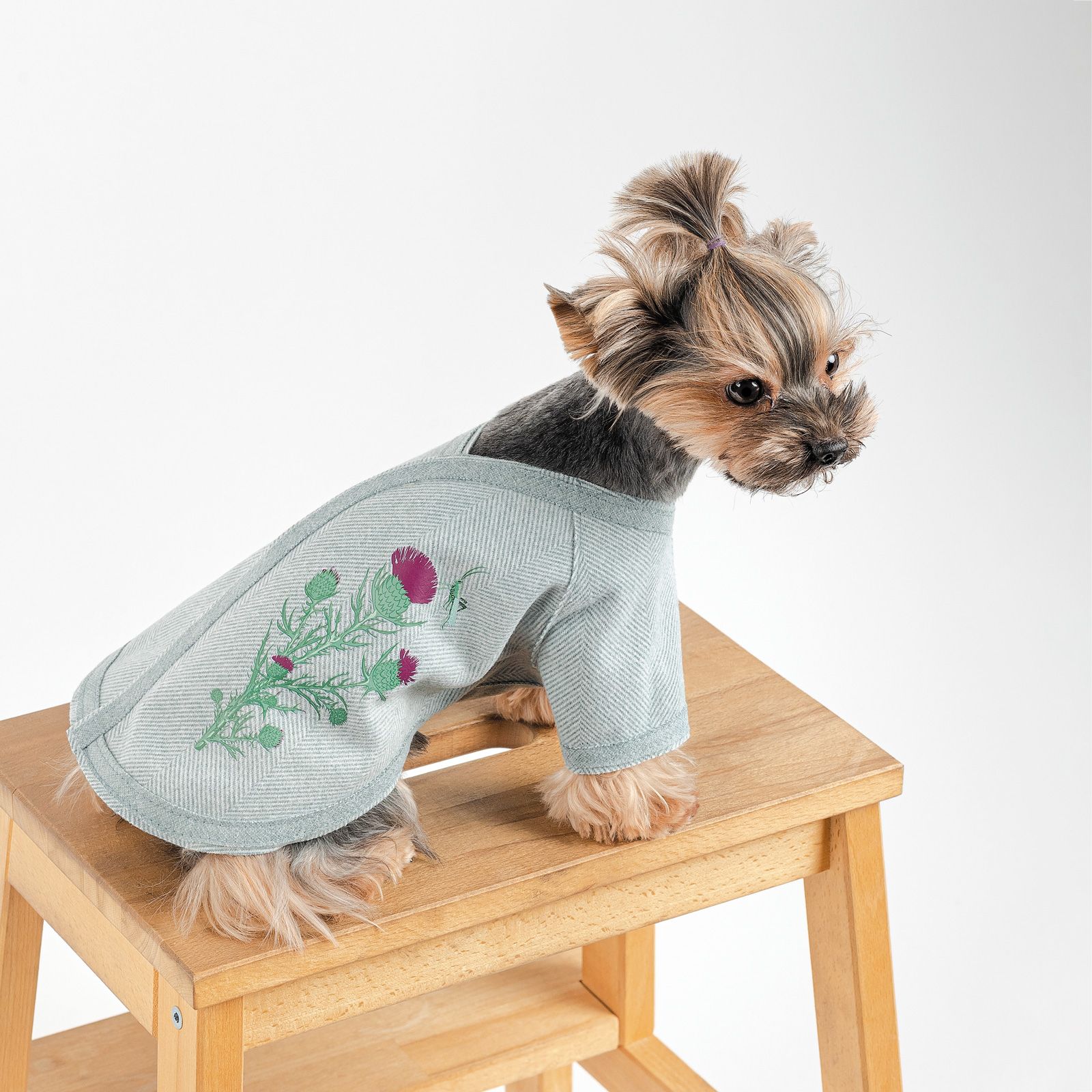 Кардиган для собак Pet Fashion Denis XS2 м’ятний - фото 4
