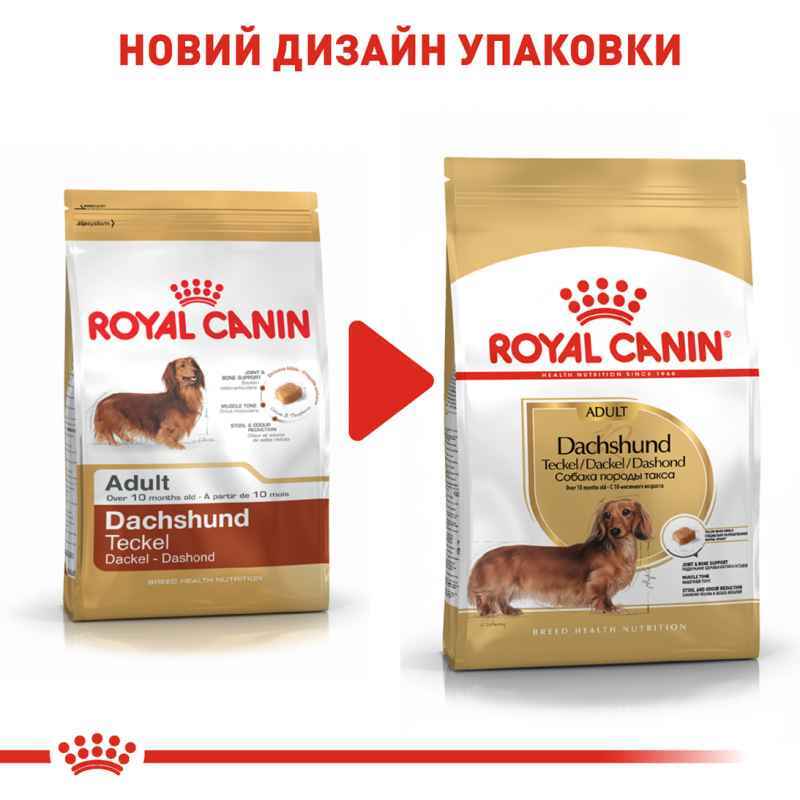 Сухий корм для дорослих собак породи Такса Royal Canin Dachshund Adult, 1,5 кг (3059015) - фото 2