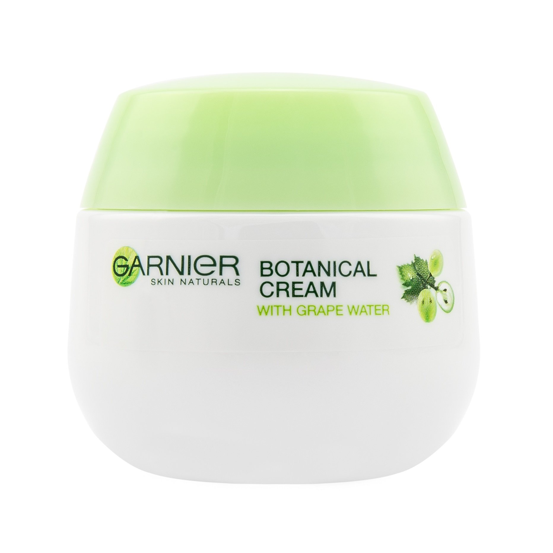 Ботаник-крем для лица Garnier Skin Naturals Основной Уход, для нормальной и комбинированной кожи, 50 мл (C5803900) - фото 1