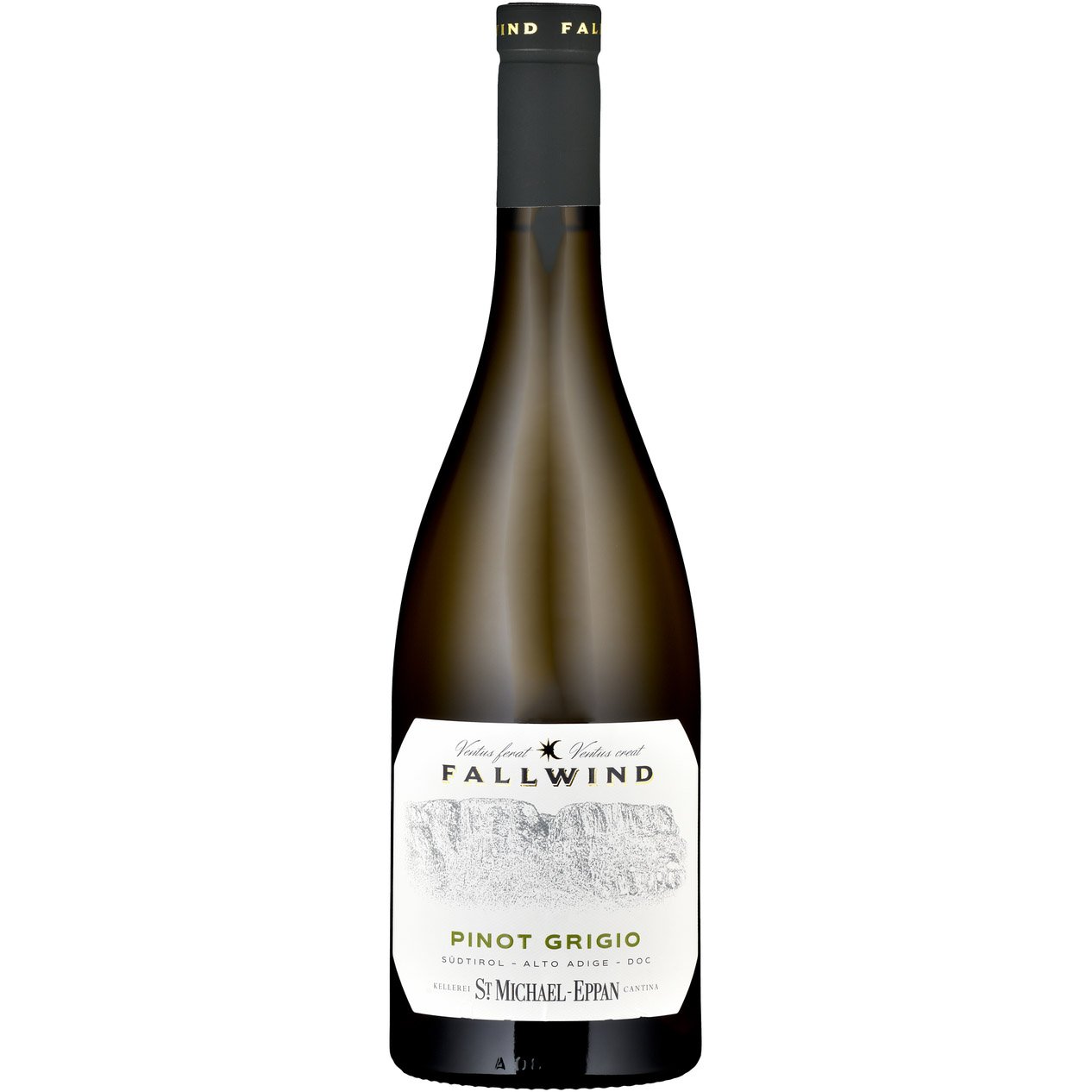 Вино St.Michael-Eppan Fallwind Pinot Grigio Alto Adige DOC 2022 біле сухе 0.75 л - фото 1