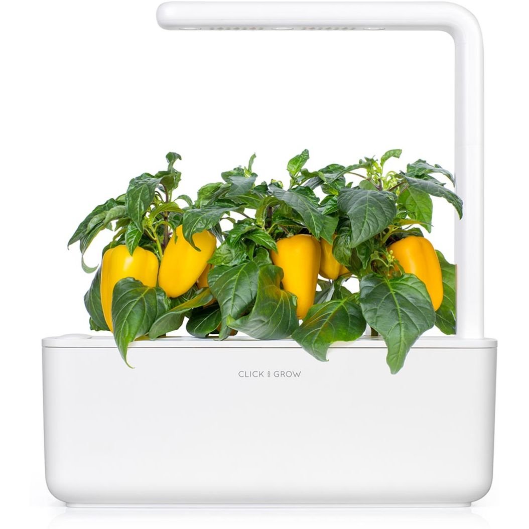 Сменный картридж Click & Grow Smart Garden Желтый сладкий перец, 3 капсулы (8950) - фото 5