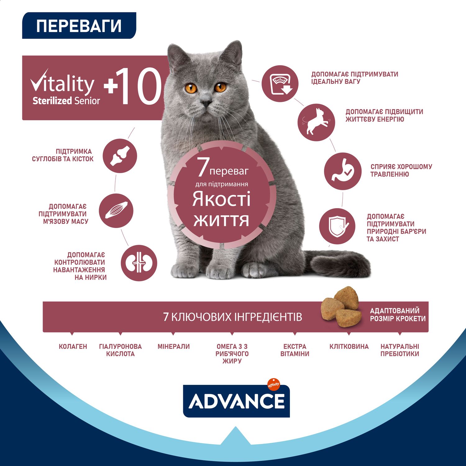 Сухой корм для стерилизованных кошек старше 10 лет Advance Cat Sterilized Senior с курицей 1.5 кг - фото 3