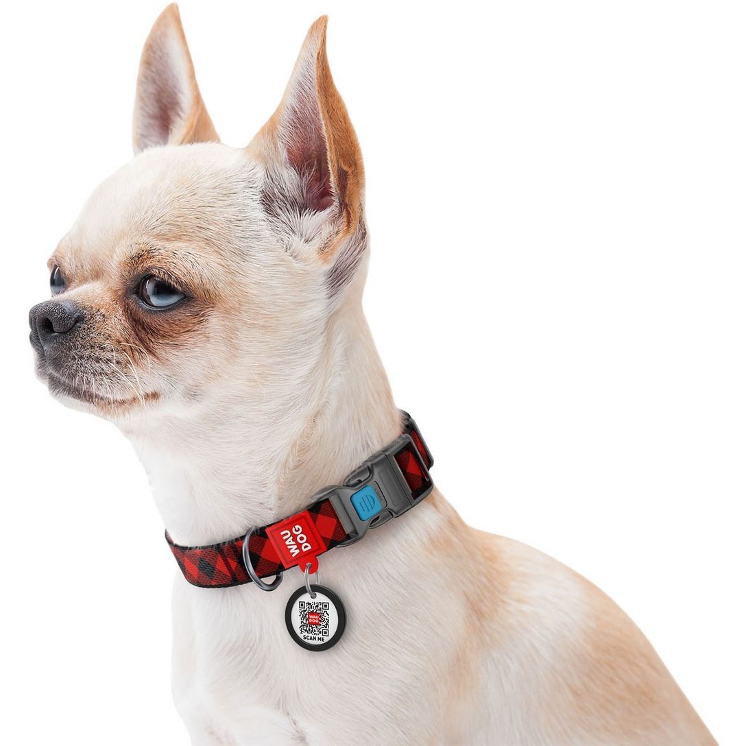 Ошейник для собак Waudog Nylon Шотландка красная, c QR паспортом, пластиковый фастекс, 24-40х20 см - фото 4