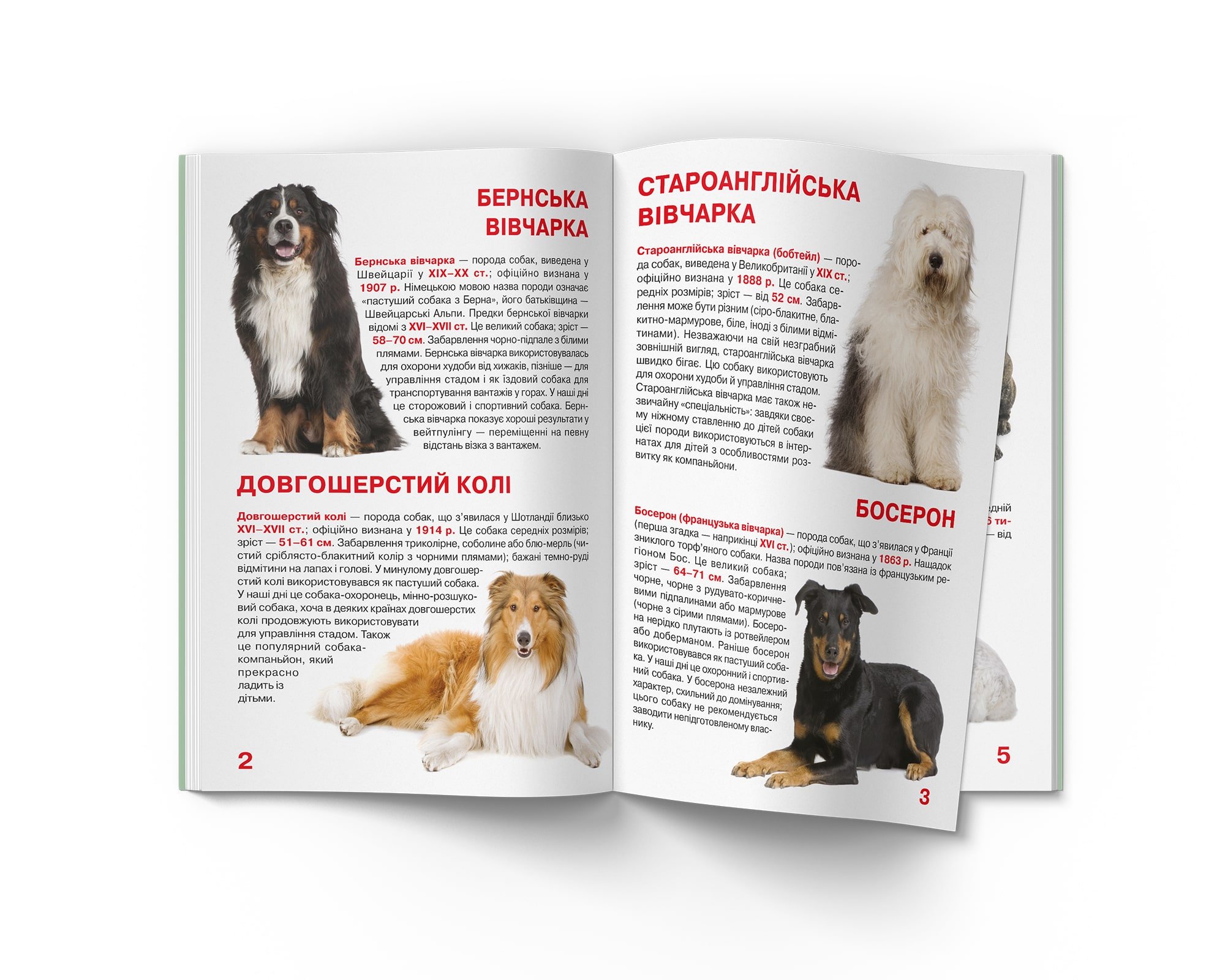 Велика книга Кристал Бук Службові собаки (F00014405) - фото 2