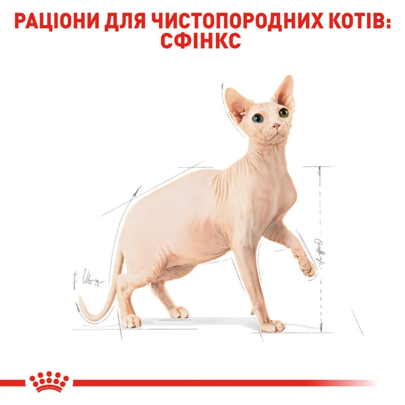 Сухий корм для дорослих котів породи сфінкс Royal Canin Sphynx Adult, з м'ясом птиці, 0,4 кг - фото 3