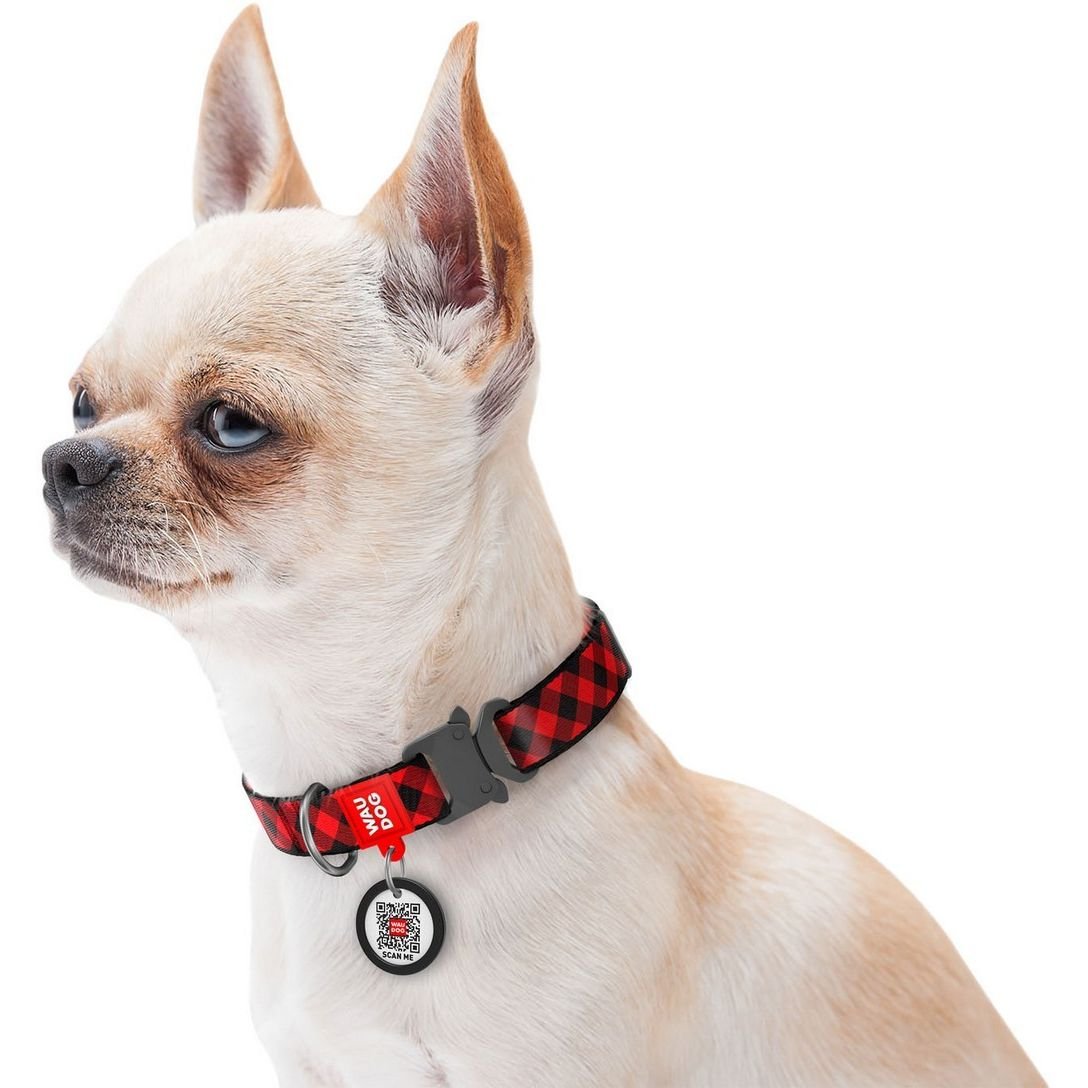 Нашийник для собак Waudog Nylon Шотландка червона, з QR паспортом, металева пряжка-фастекс, 23-35х1,5 см - фото 4