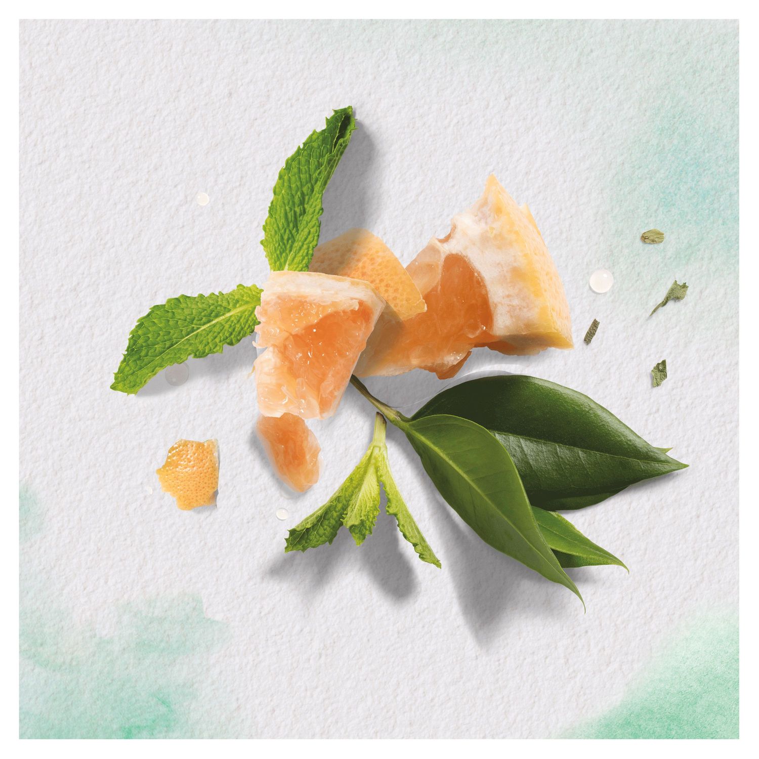 Бальзам-ополіскувач Herbal Essences Volume Білий грейпфрут, 275 мл - фото 5