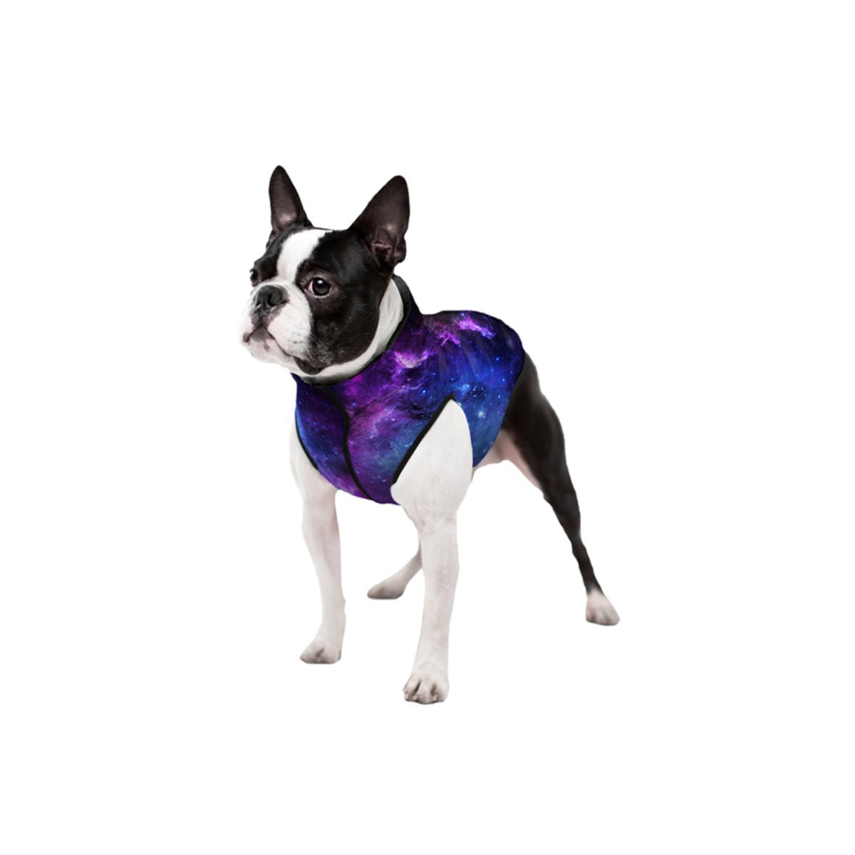 Курточка для собак Waudog Clothes, NASA21, M47 - фото 3