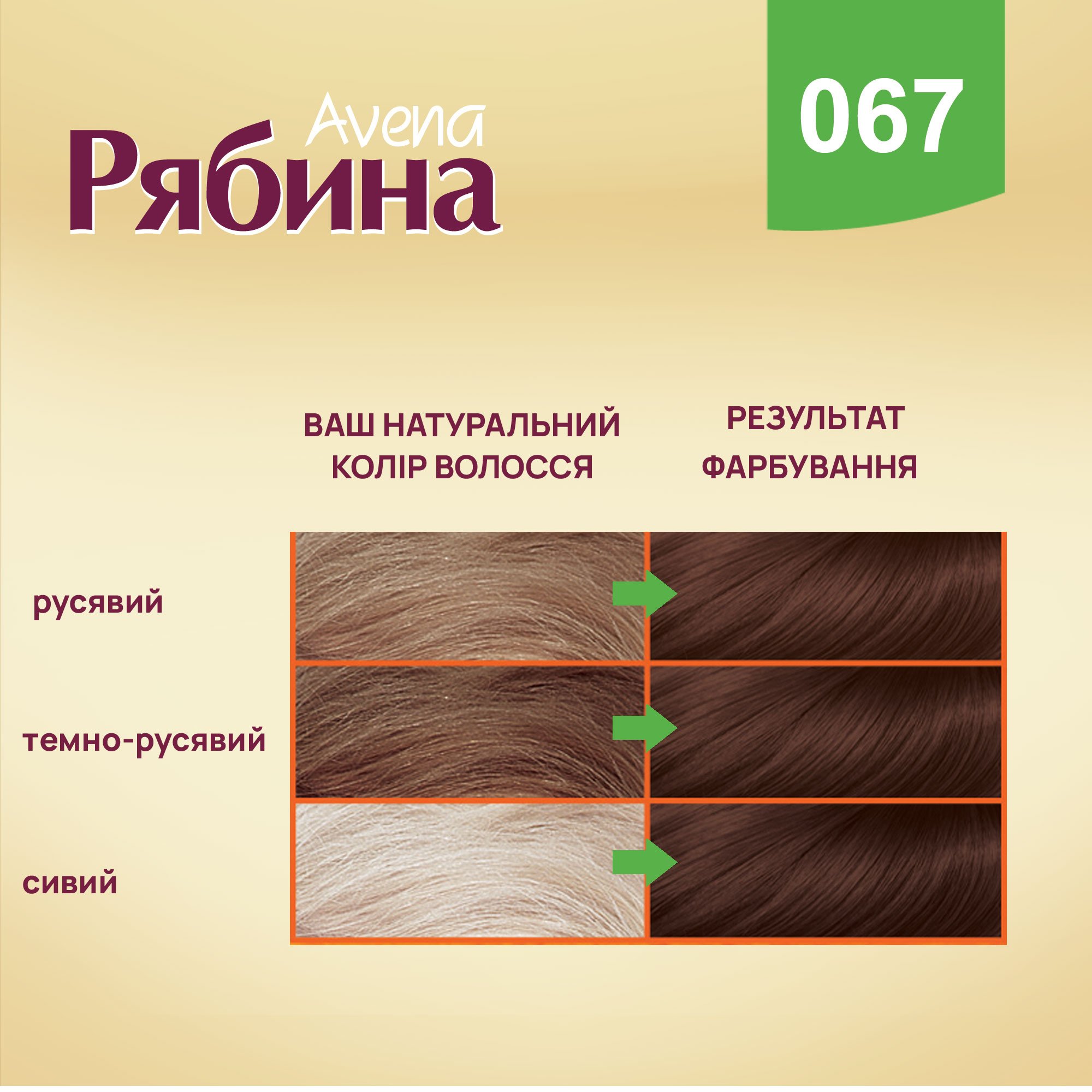 Крем-фарба для волосся Acme Color Рябина Avena, відтінок 067 (Капучіно), 138 мл - фото 4