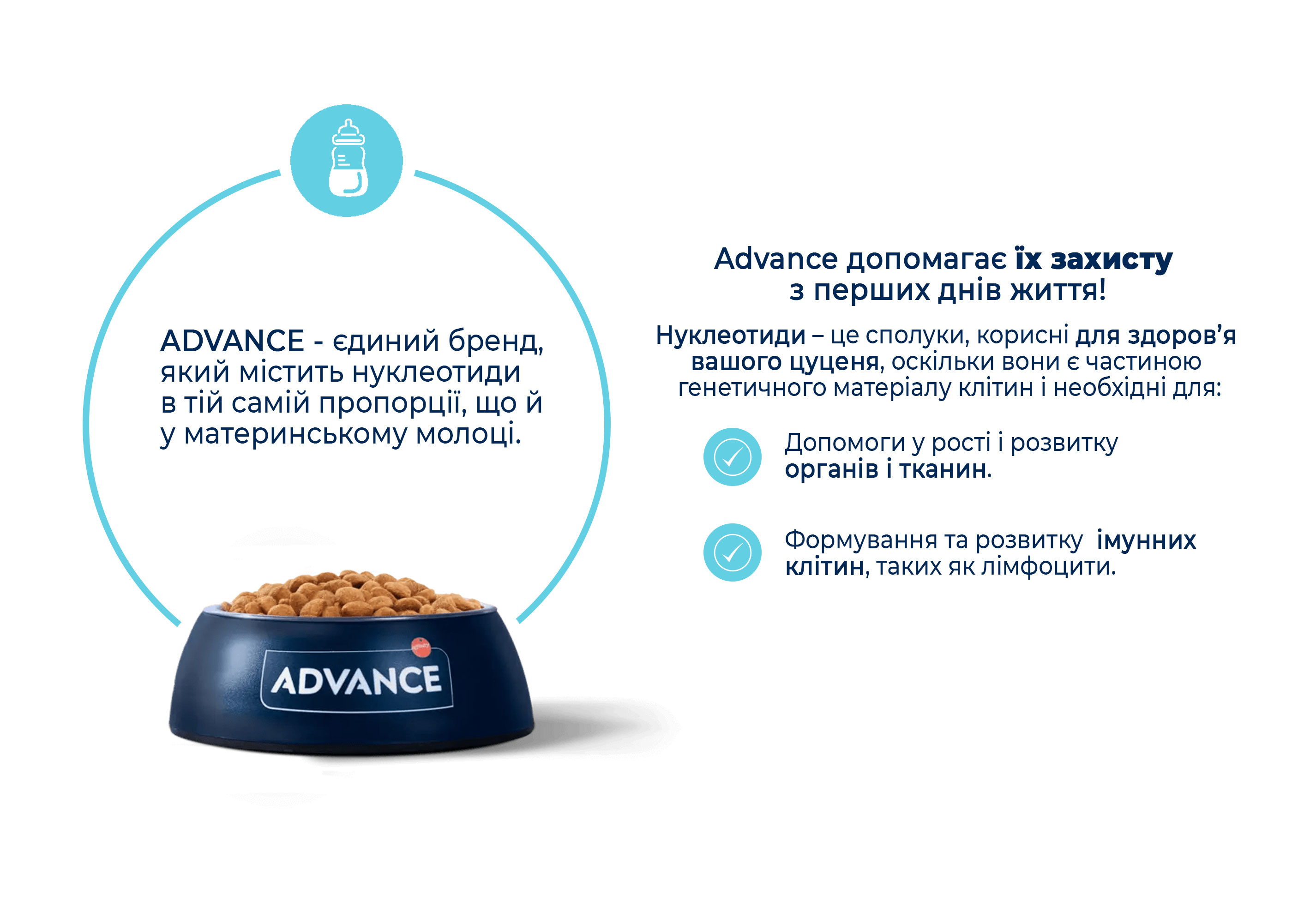 Сухий корм для цуценят маленьких порід Advance Active Defense Puppy Mini з куркою та рисом 700 г - фото 3