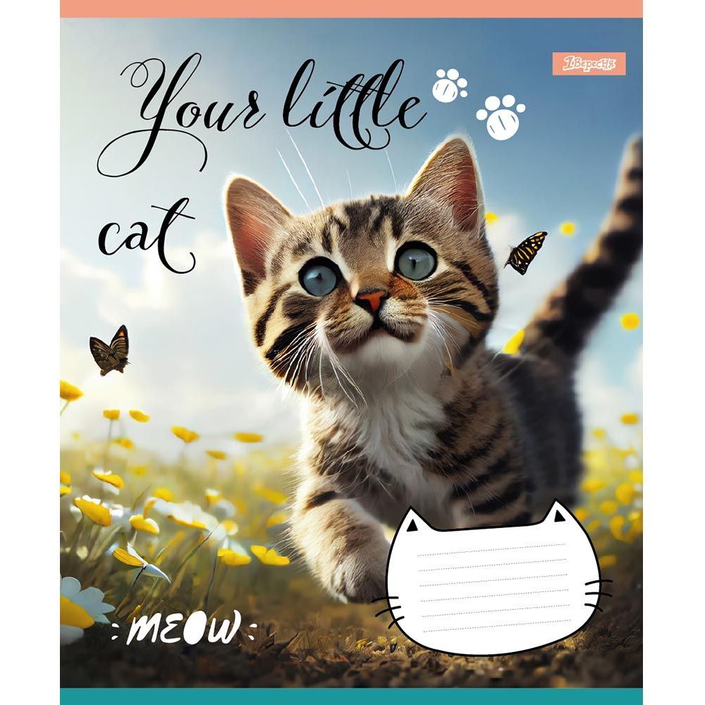 Набор тетрадей 1 Вересня Your little cat, в линию, 12 листов, 25 шт. (766537) - фото 1