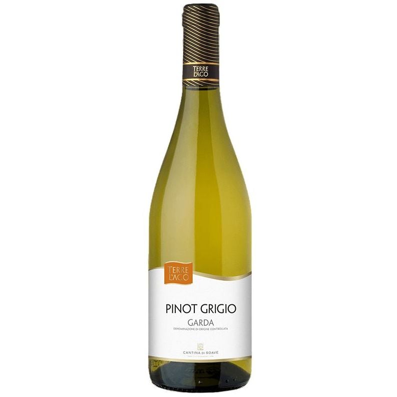 Вино Terre al Lago Garda Pinot Grigio DOC, біле, сухе, 0,75 л - фото 1
