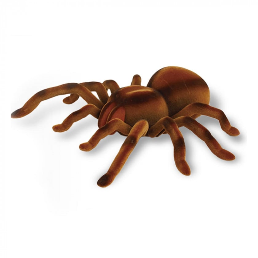 Радіокерована іграшка Best Fun Toys Giant Fly павук тарантул (EPT731149) - фото 2