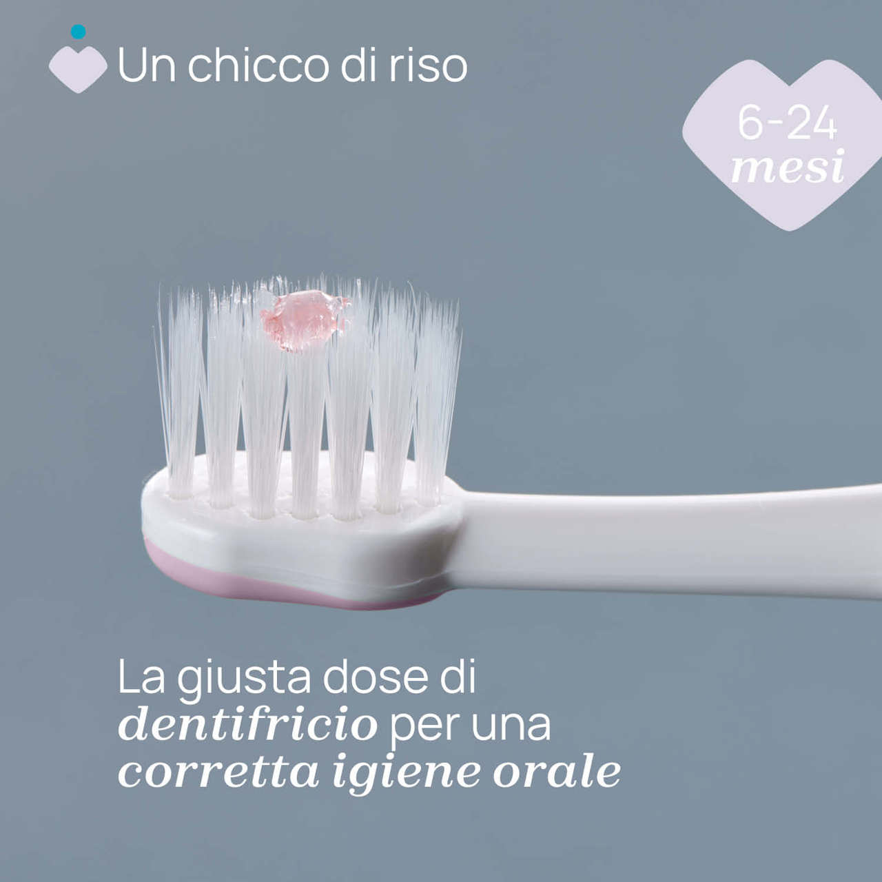 Зубная щетка Chicco для первых зубов, 6-36 мес. розовая (12081.00) - фото 5