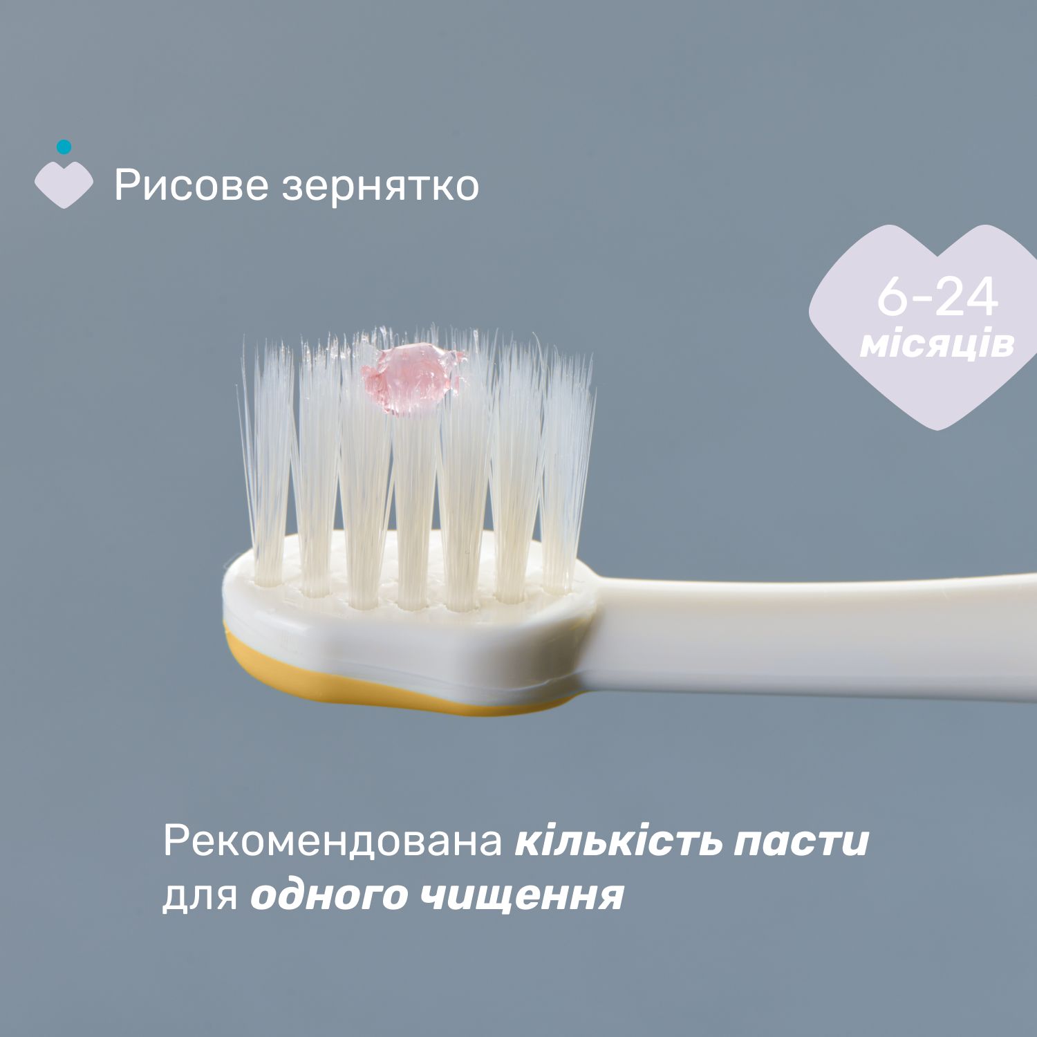 Зубная щетка Chicco для первых зубов, 6-36 мес., 2 шт. голубая с желтым (12082.11) - фото 4