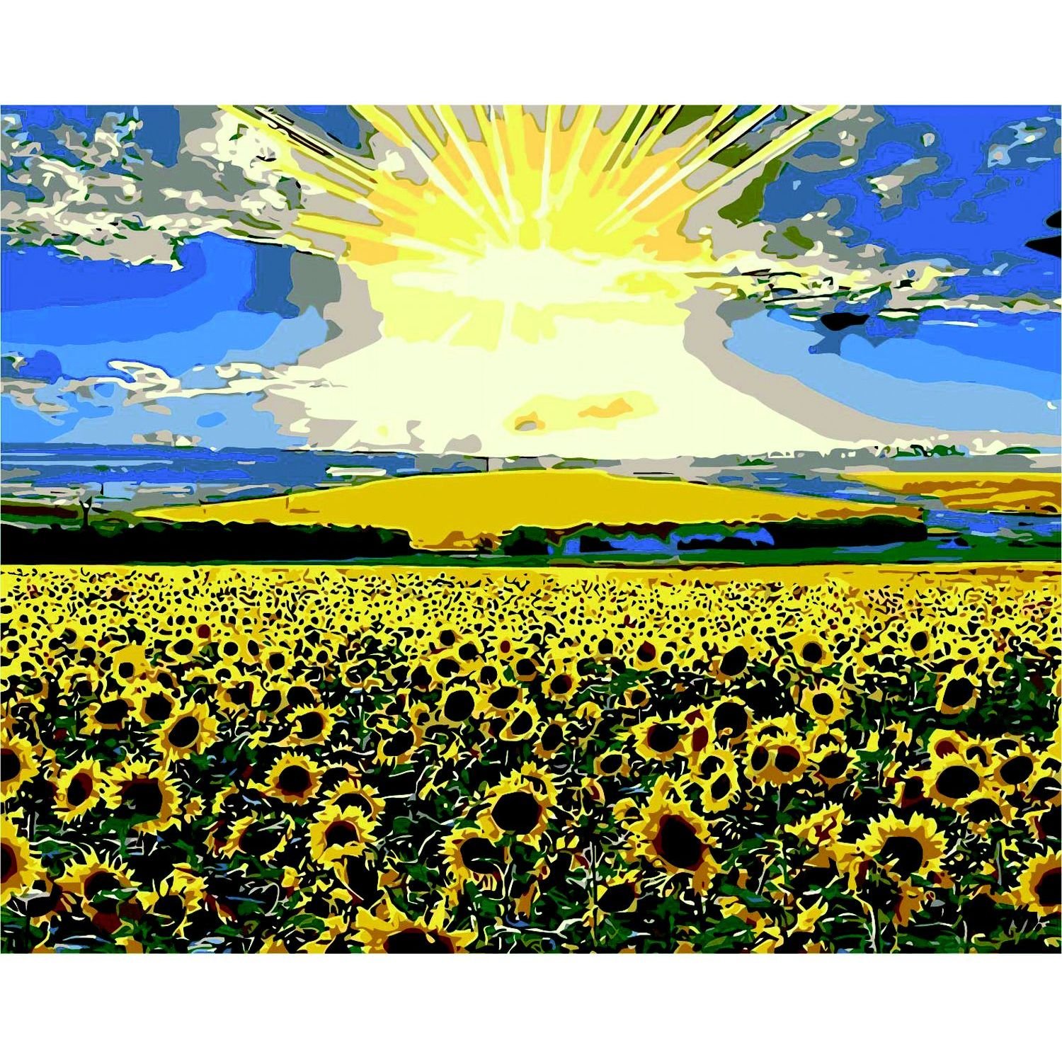 Картина за номерами ZiBi Art Line Соняшникове поле 40х50 см (ZB.64103) - фото 1