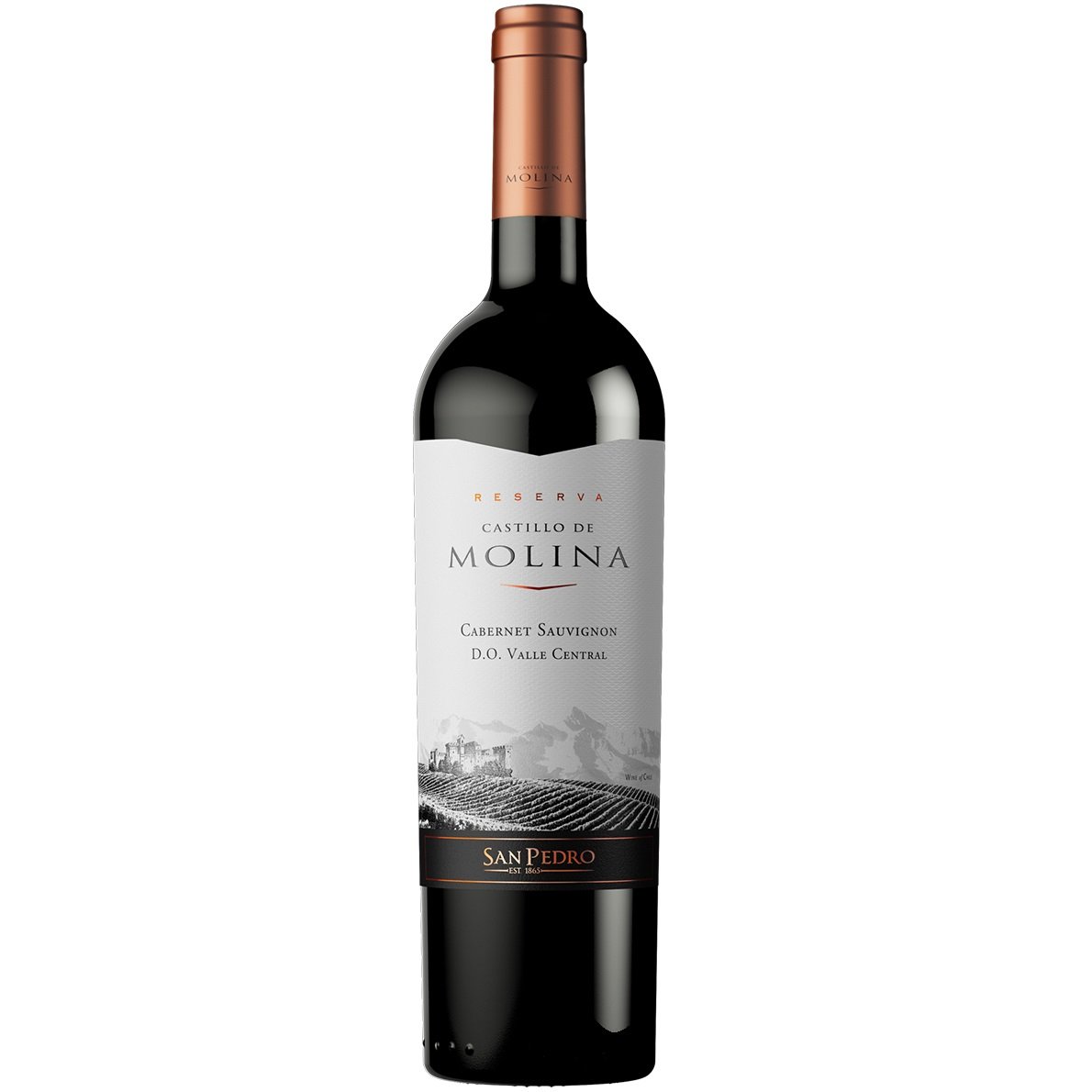 Вино Castillo de Molina Cabernet Sauvignon, червоне, сухе, 11,5-14%, 0,75 л - фото 1