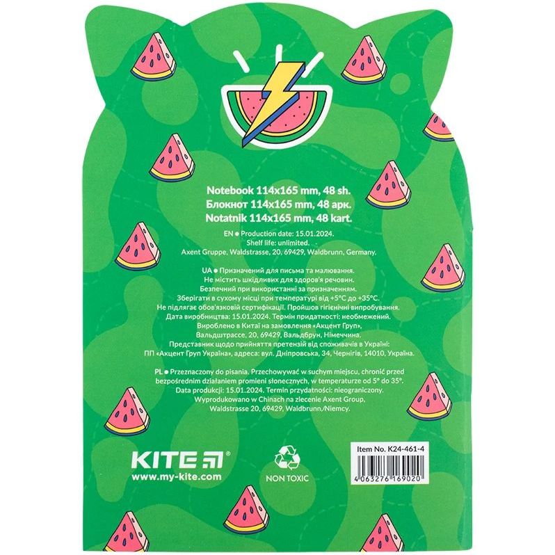 Блокнот Kite Tasty racoon B6 у клітинку 48 аркушів (K24-461-4) - фото 4